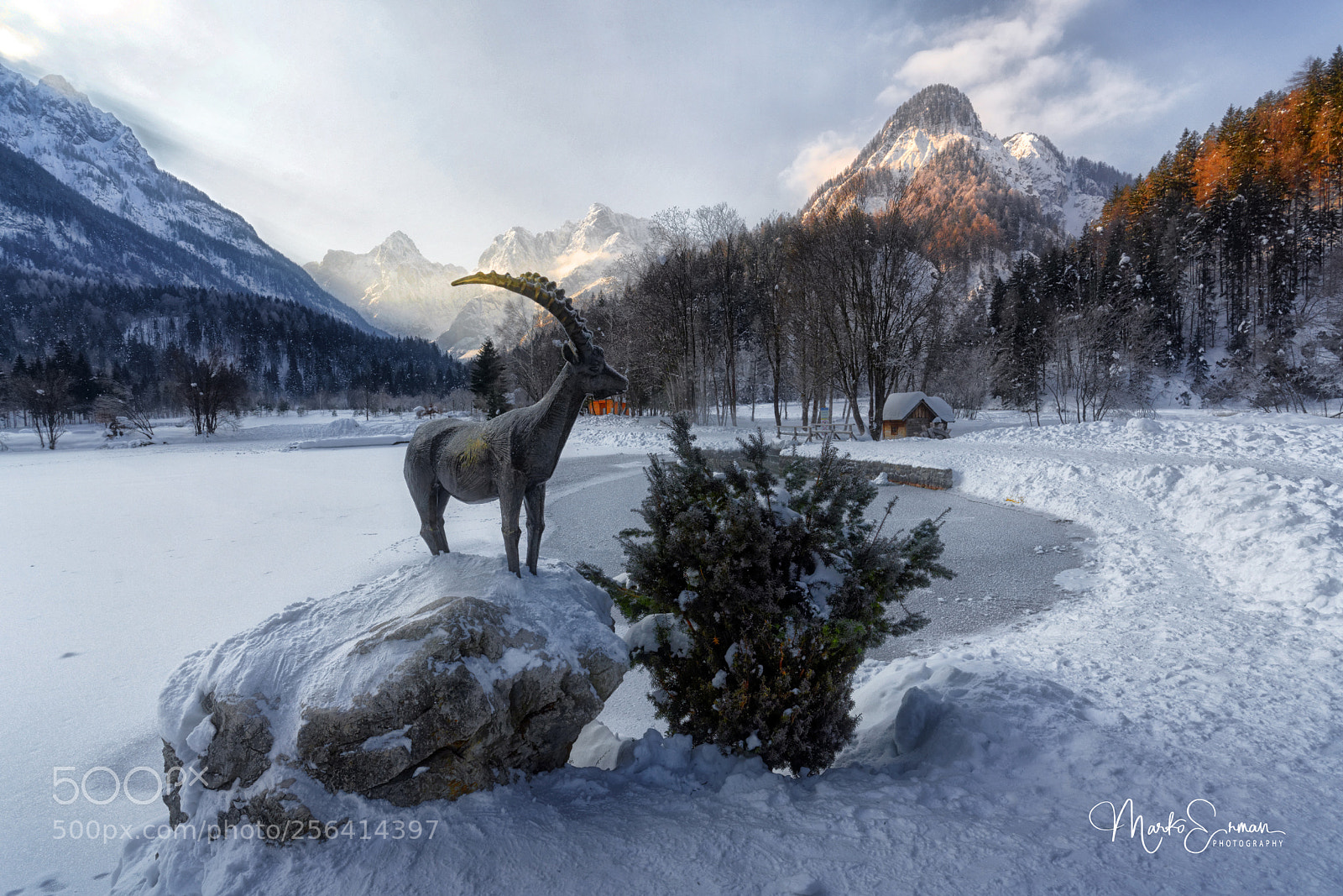 Sony a7R II sample photo. Capricorn photography