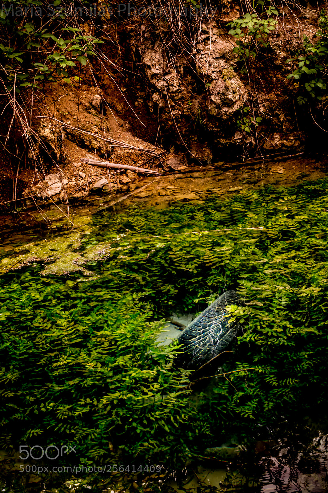 Nikon D7100 sample photo. Unlocking the secrets of photography