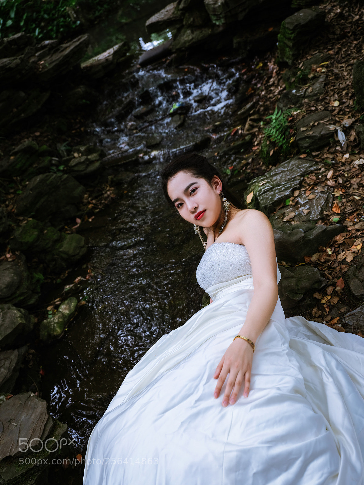 Fujifilm GFX 50S sample photo. Untitled photography