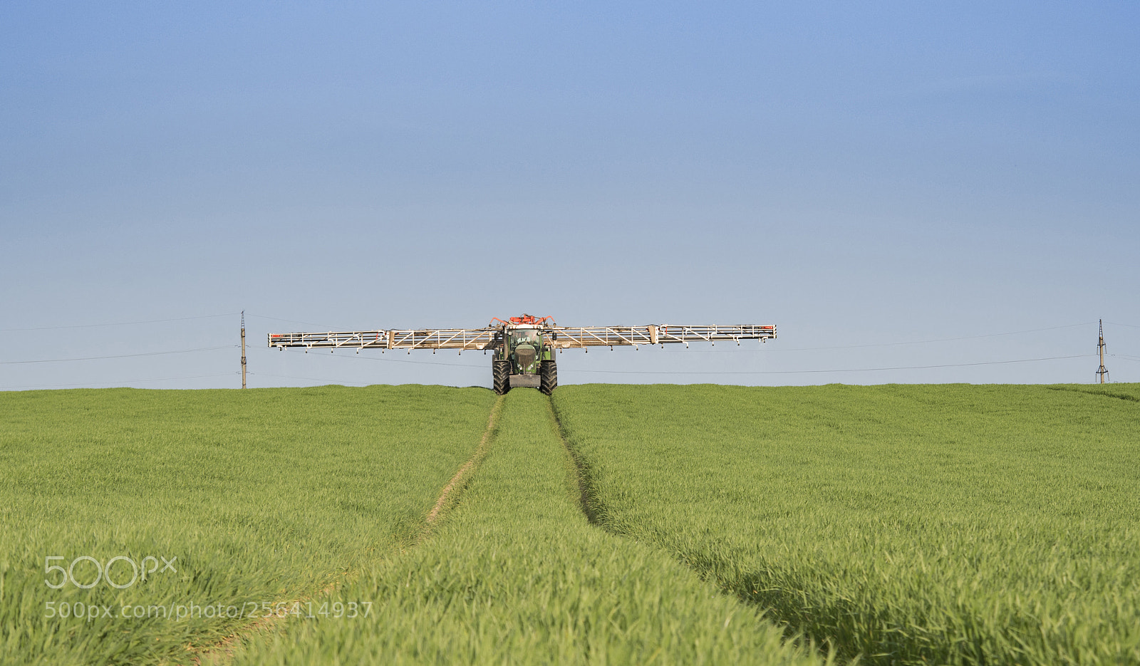 Nikon D500 sample photo. Spraying wheat field photography