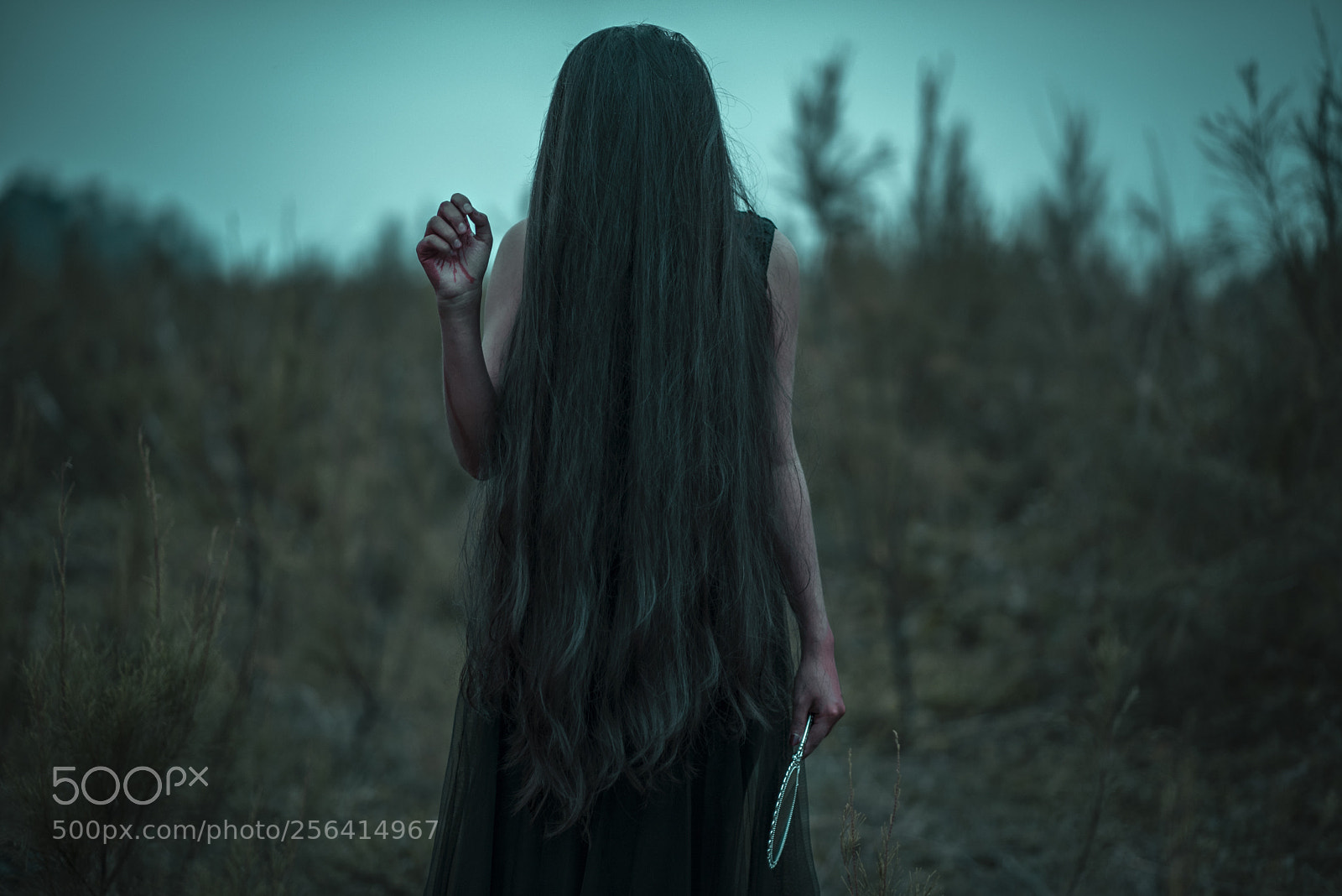 Nikon D750 sample photo. Witches are the women photography
