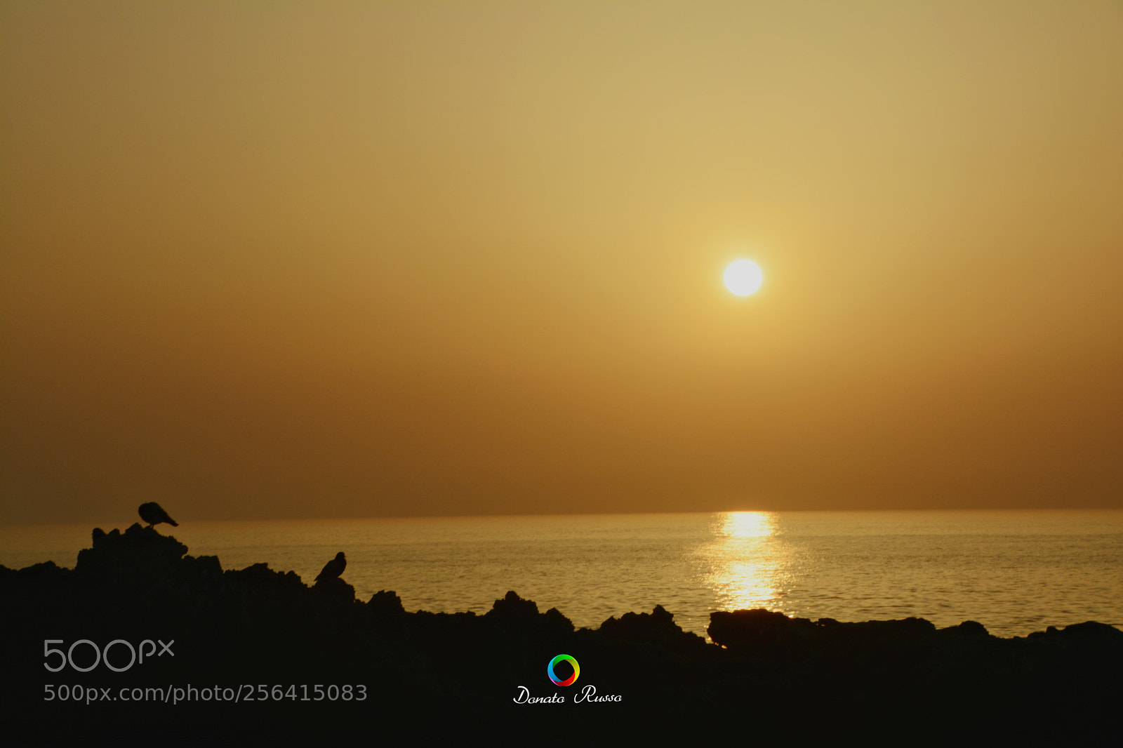 Nikon D5200 sample photo. Untitled photography