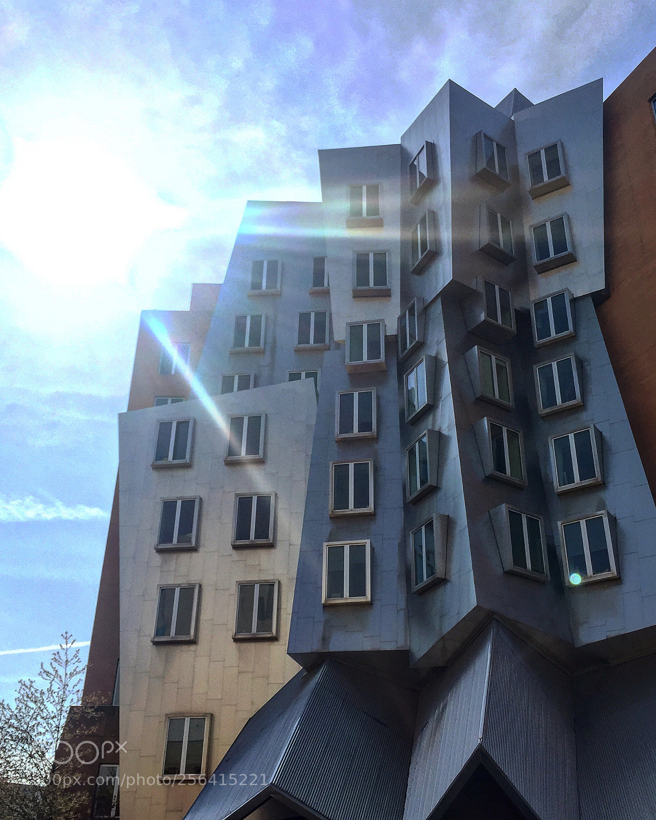 Apple iPhone 6 sample photo. When the sun cooperates photography