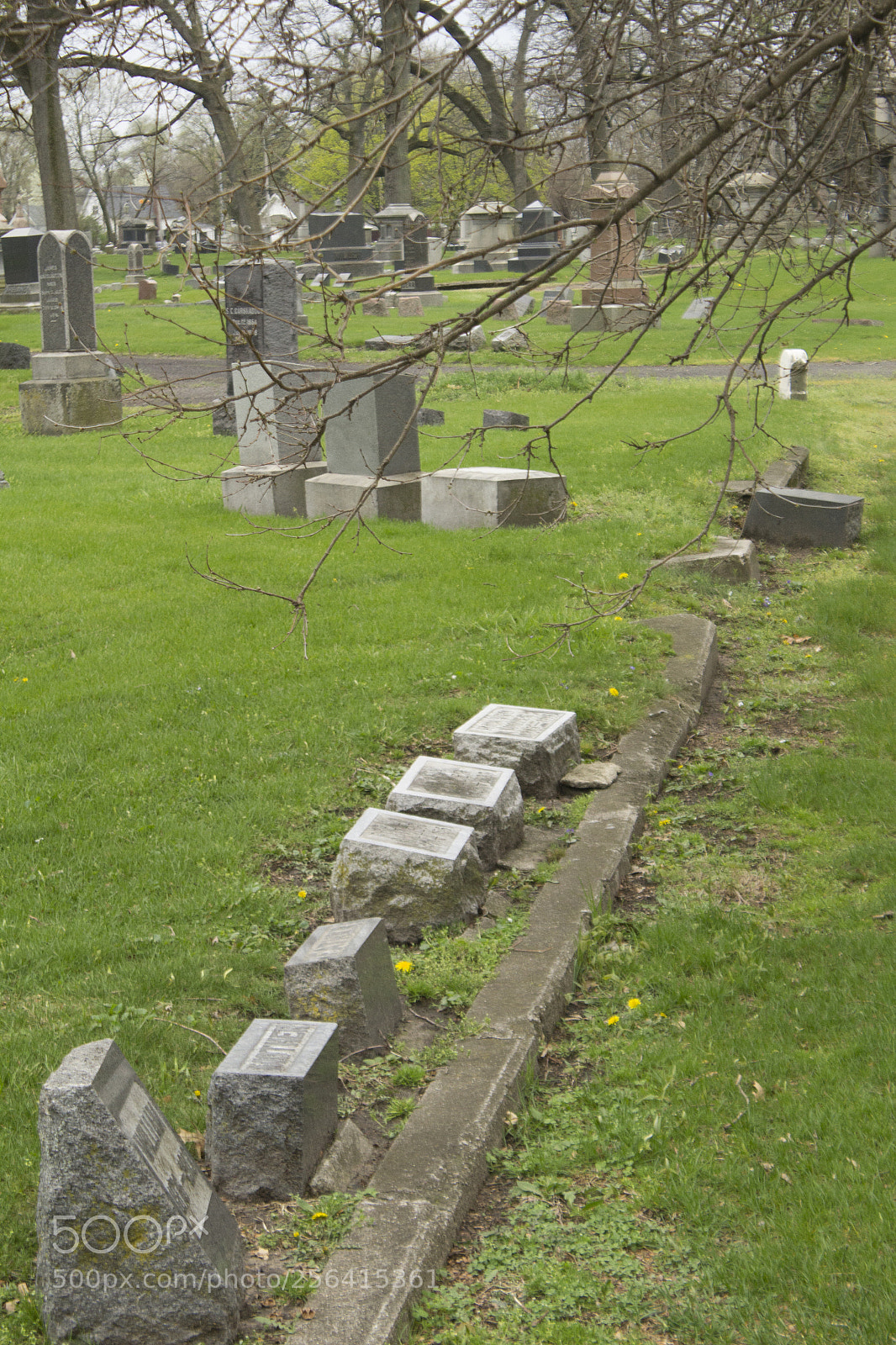 Canon EOS 1200D (EOS Rebel T5 / EOS Kiss X70 / EOS Hi) sample photo. Gravestones branches and curb photography