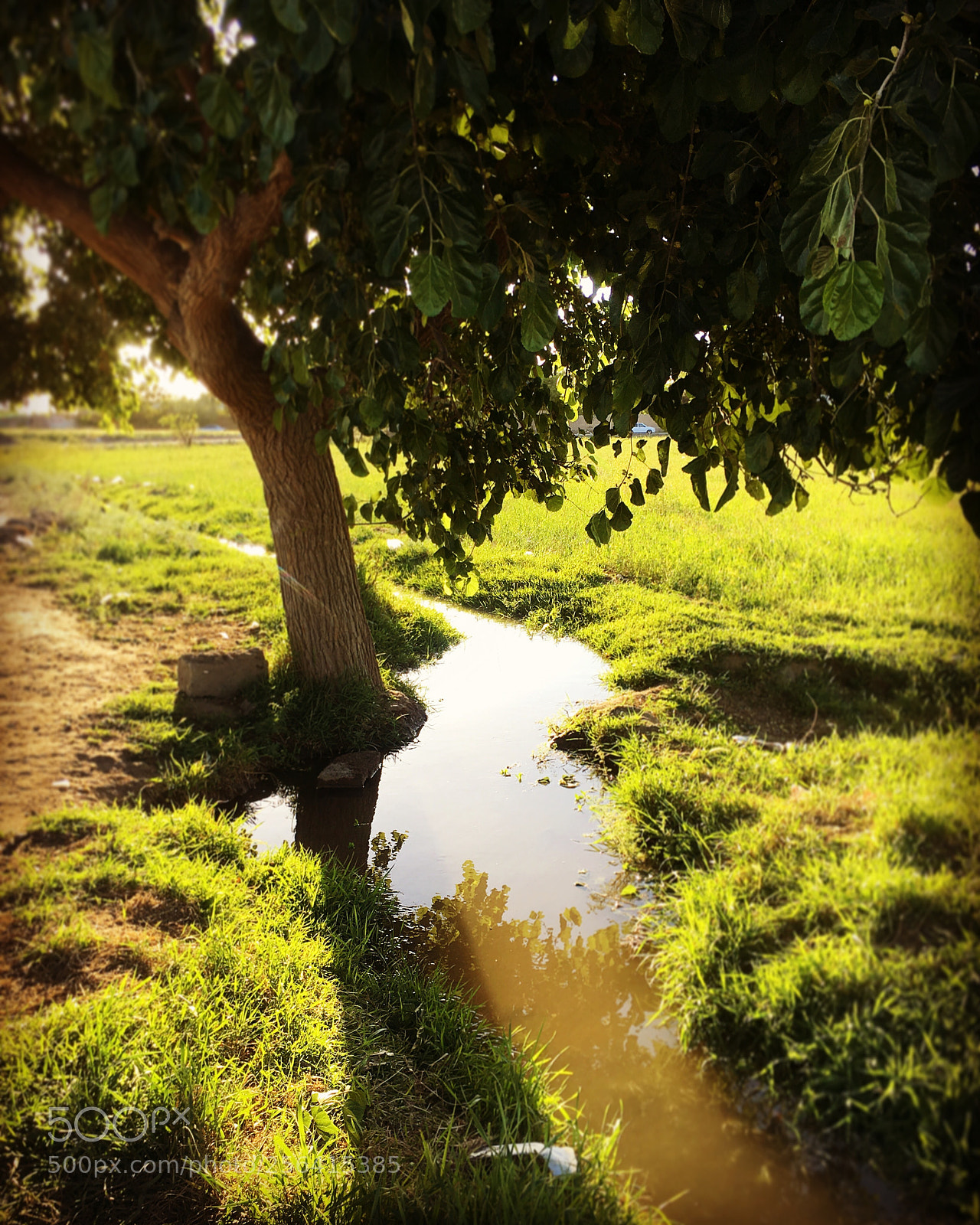 Apple iPhone 6s sample photo. Untitled photography