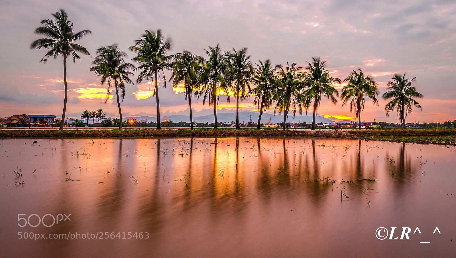 Nikon D5100 sample photo. Tanjung putus, permatang pauh photography