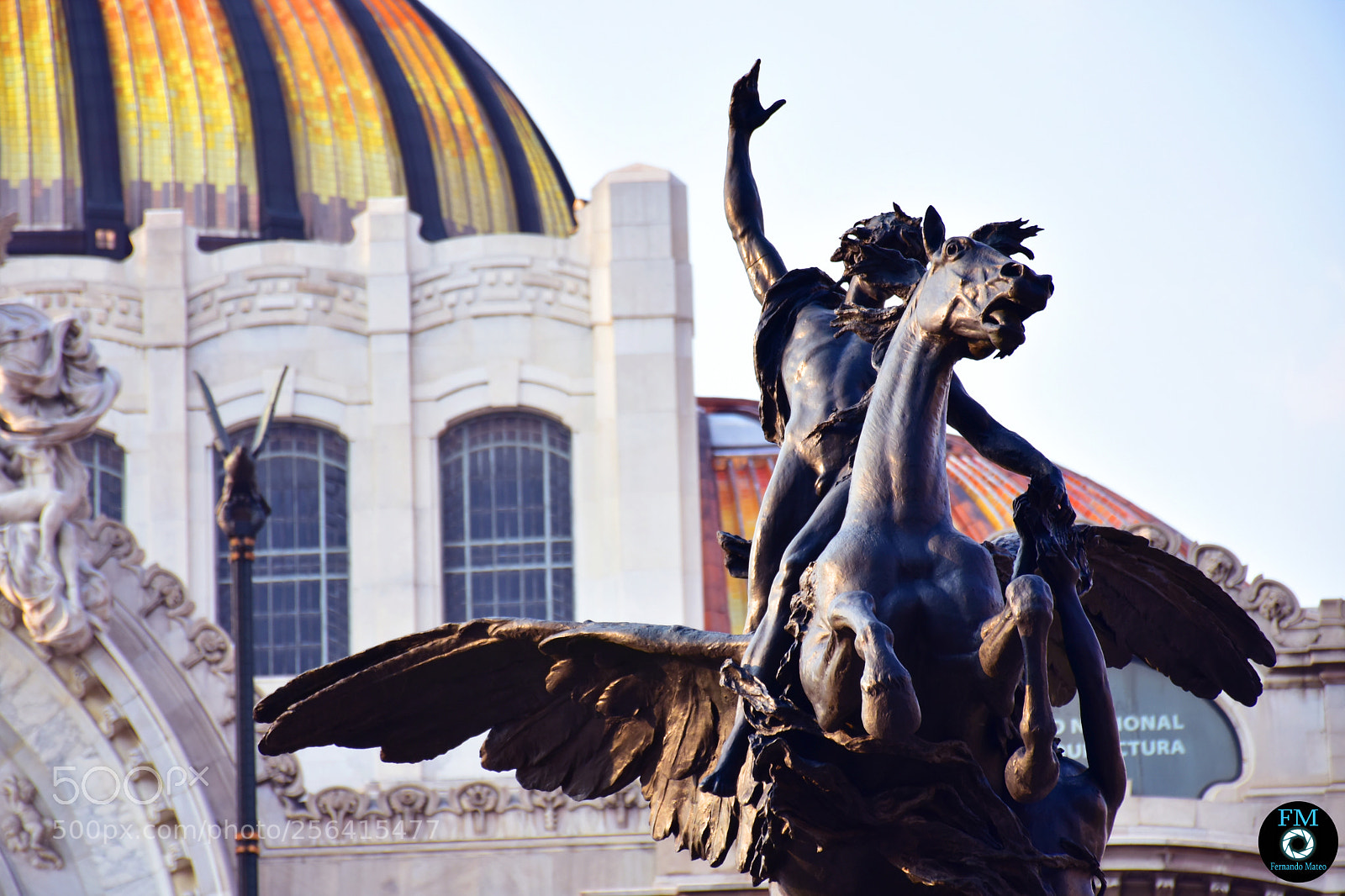 Nikon D7200 sample photo. Libertad photography