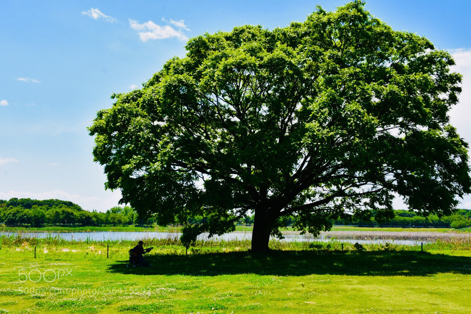 Nikon D7200 sample photo. Holiday photography