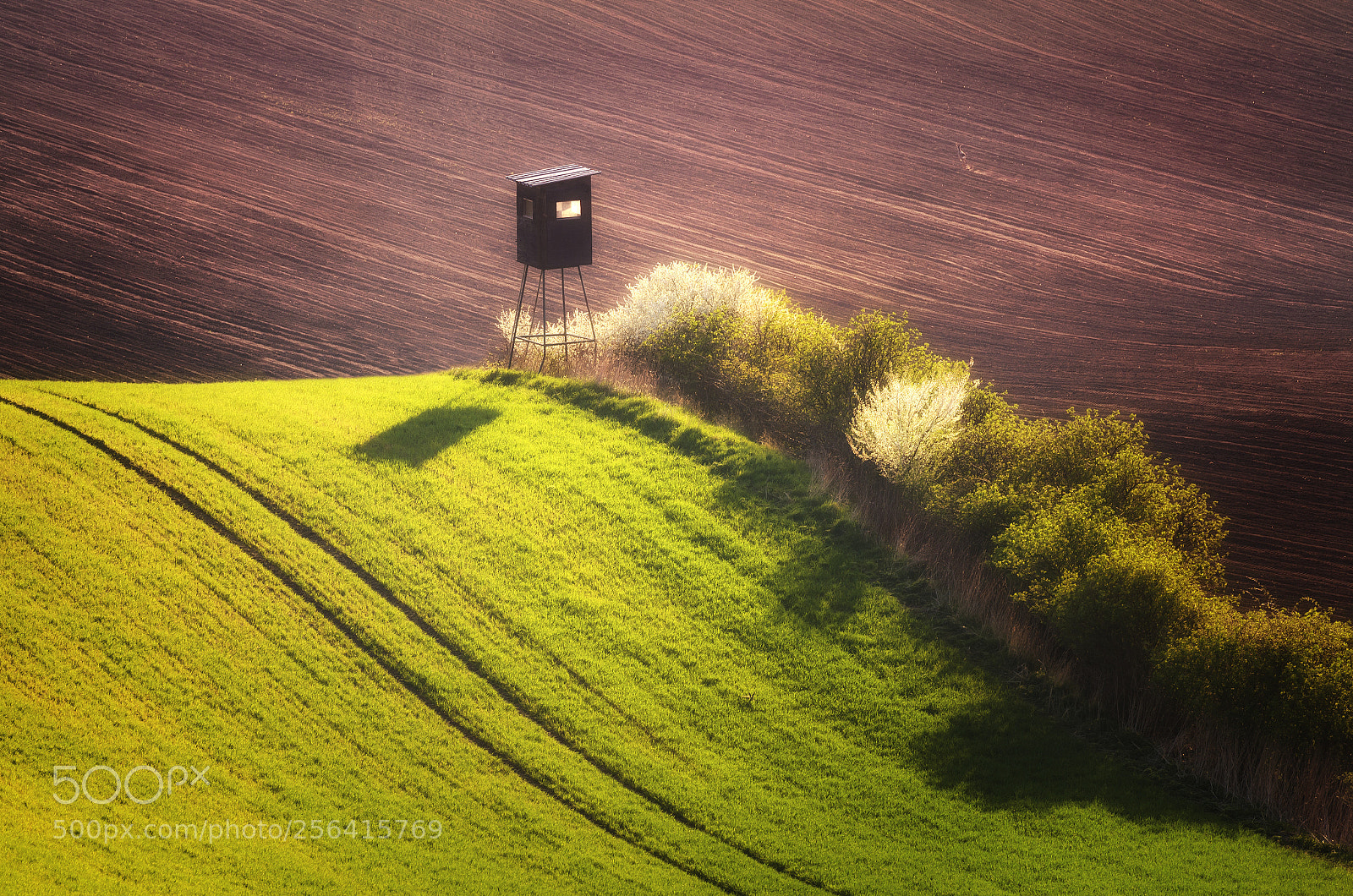 Nikon D7000 sample photo. Moravian fields photography
