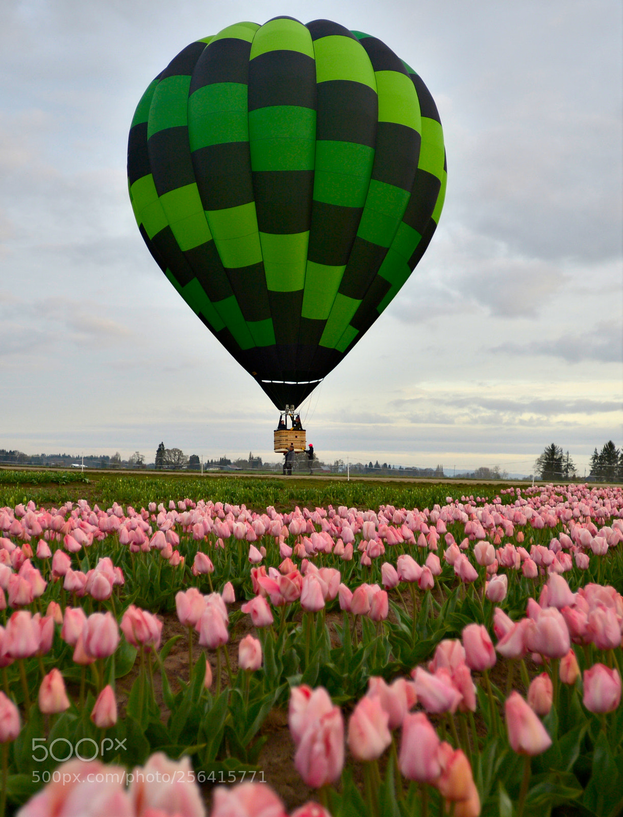 Nikon Df sample photo. Up, up and away photography
