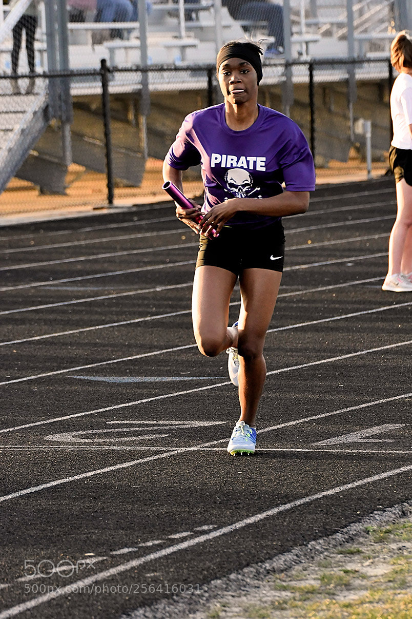 Nikon D500 sample photo. 4-30_1317.jpg photography