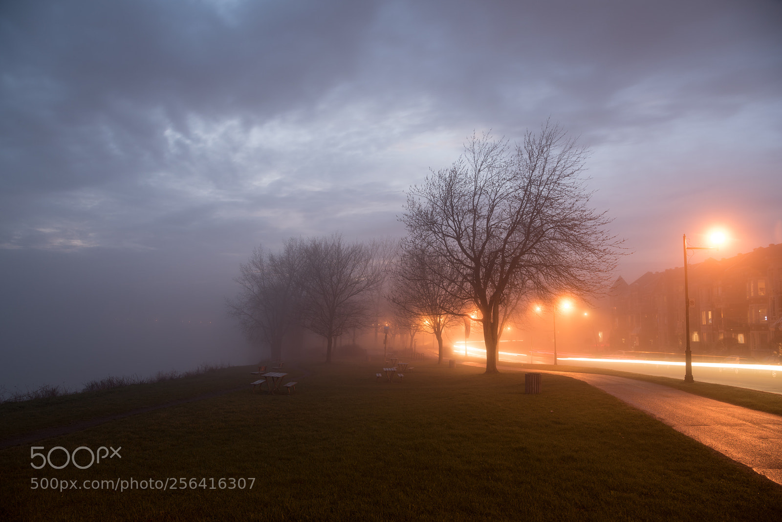 Nikon D750 sample photo. Foggystreet photography
