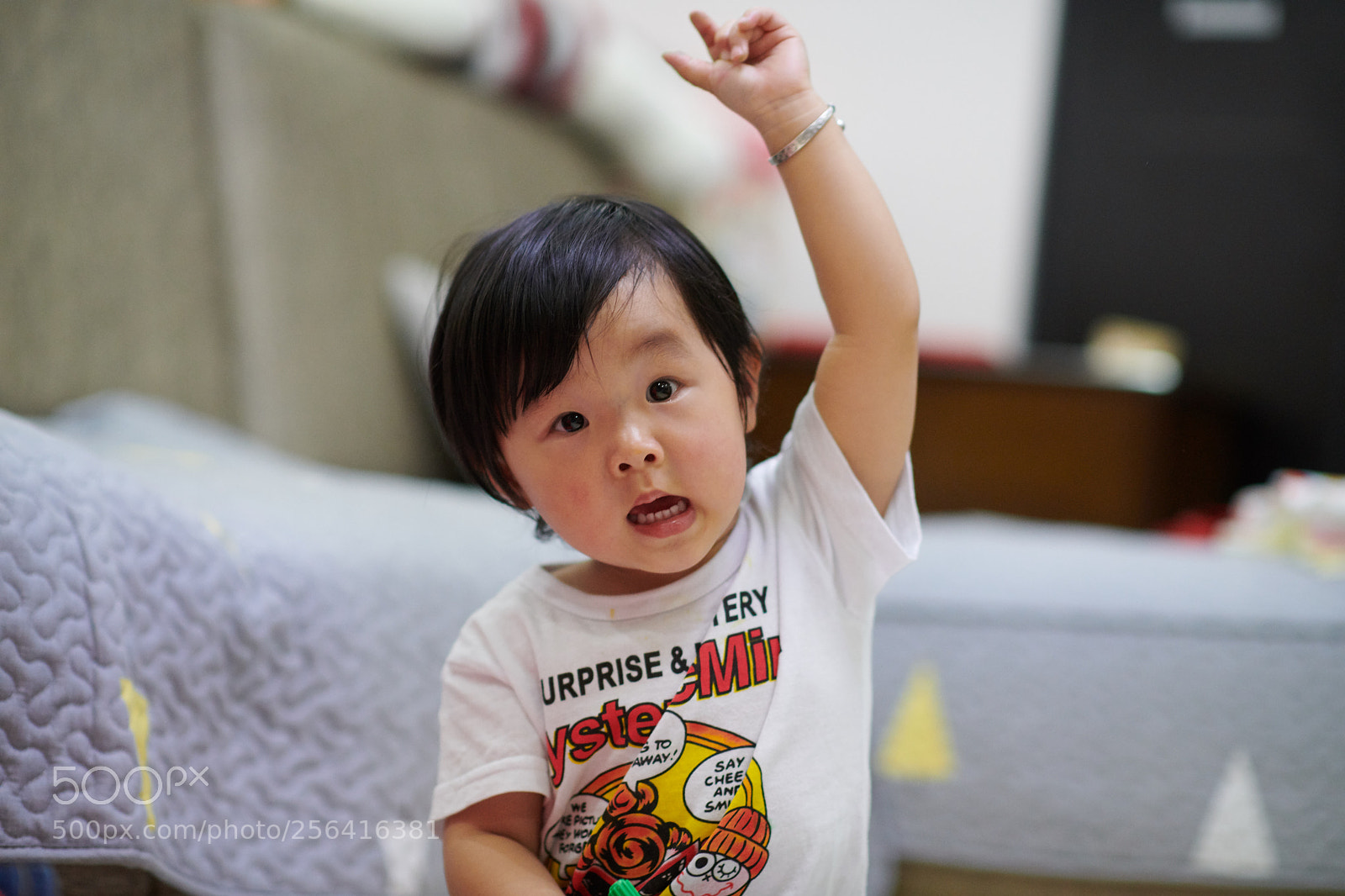 Nikon D850 sample photo. Untitled photography