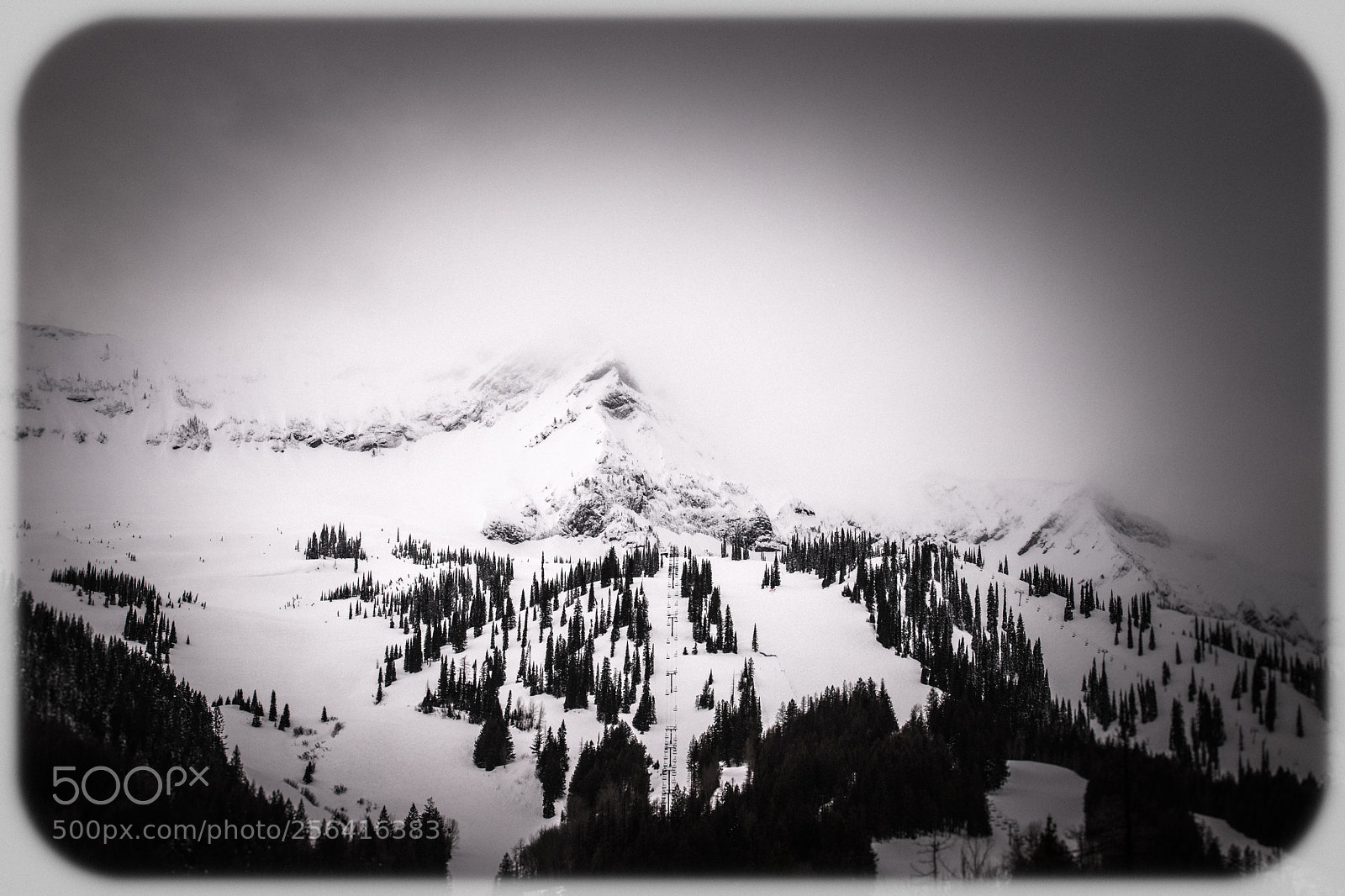 Canon EOS 6D Mark II sample photo. Grizzly weather photography