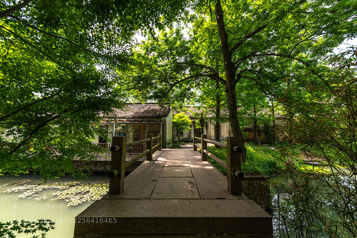 Nikon D800E sample photo. Hangzhou wetland park photography