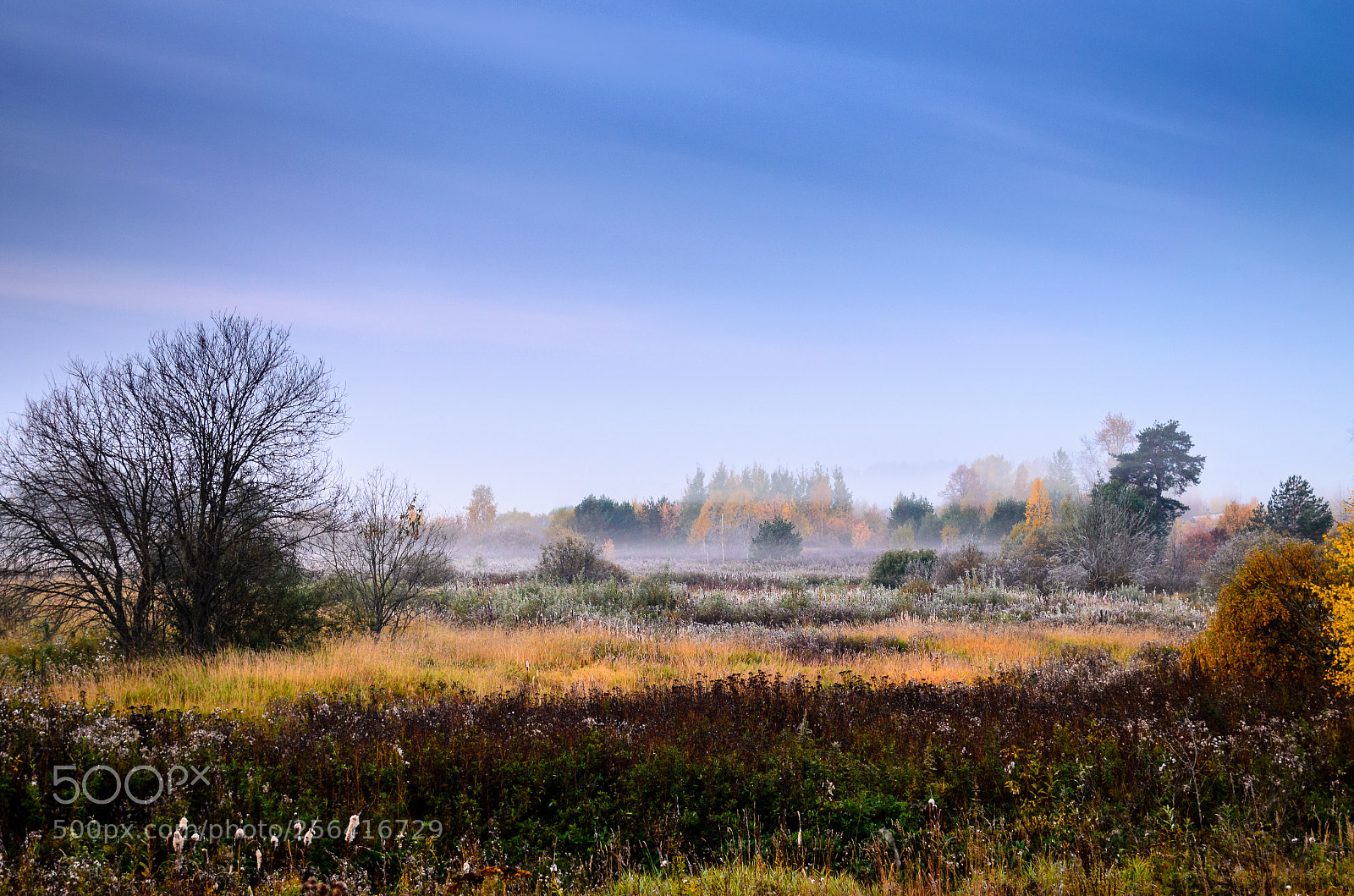Nikon D5100 sample photo. Chilly photography