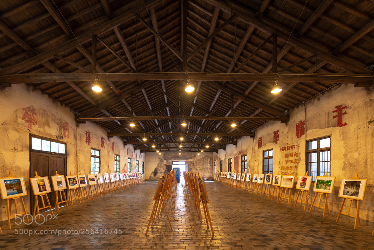 Nikon D800E sample photo. Hangzhou xixi wetland museum photography