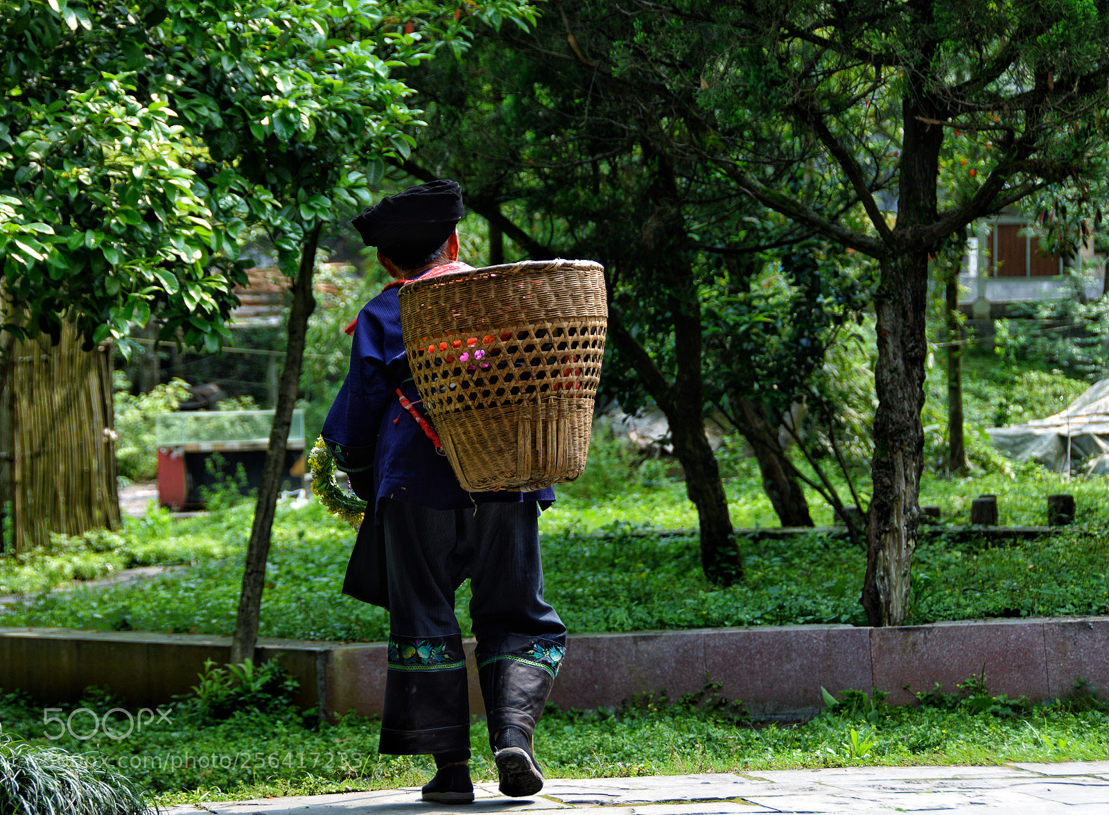 Nikon D7200 sample photo. Untitled photography