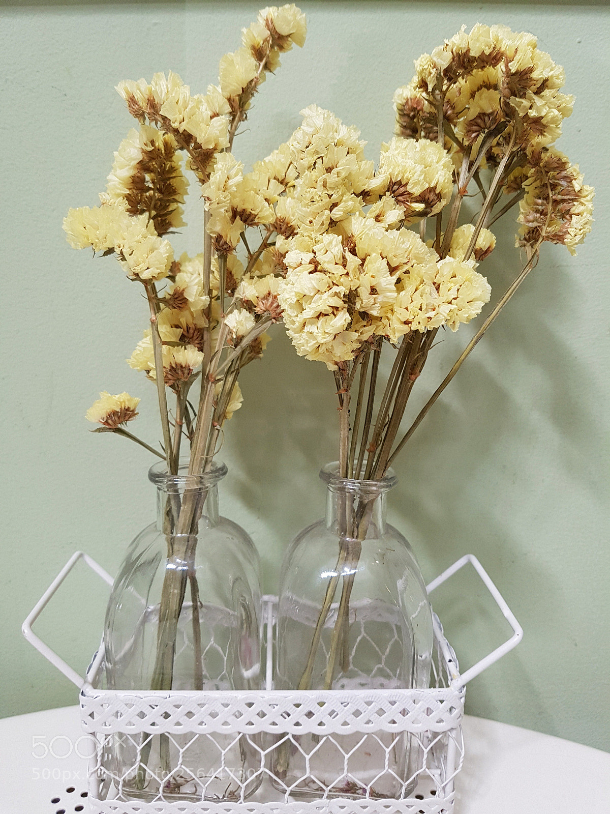 Samsung Galaxy S7 Edge sample photo. Flowers vase photography