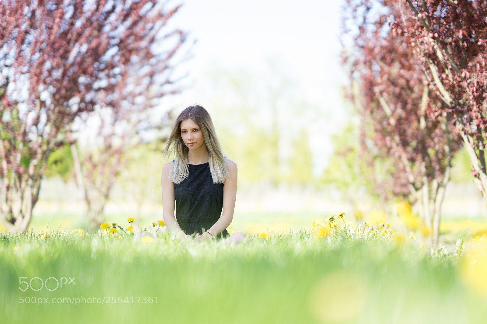 Sony a7 II sample photo. Springgirl photography