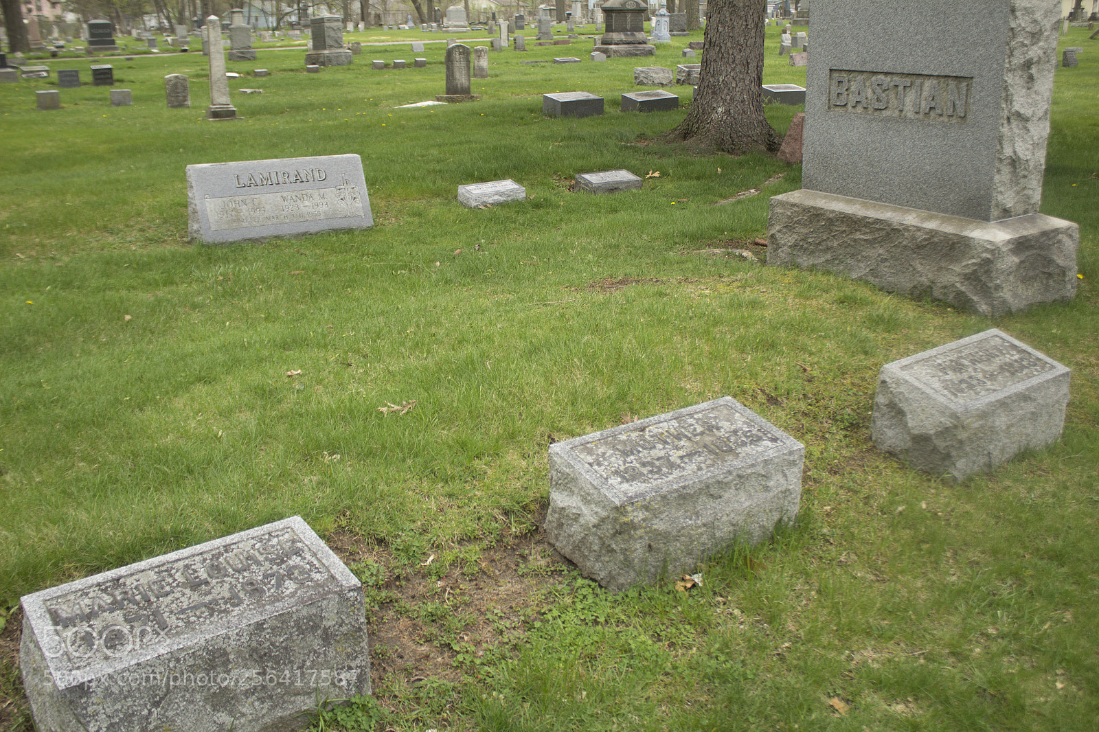 Canon EOS 1200D (EOS Rebel T5 / EOS Kiss X70 / EOS Hi) sample photo. Bastian's gravestone. photography