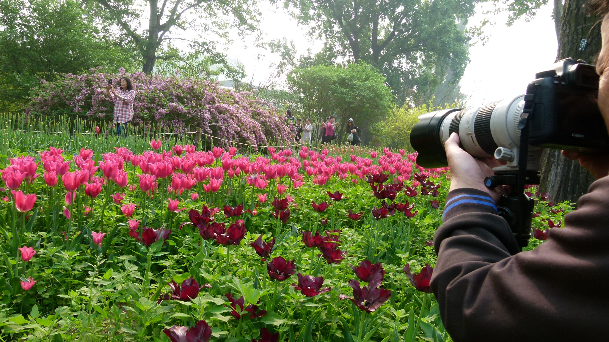 Leica V-Lux 2 sample photo