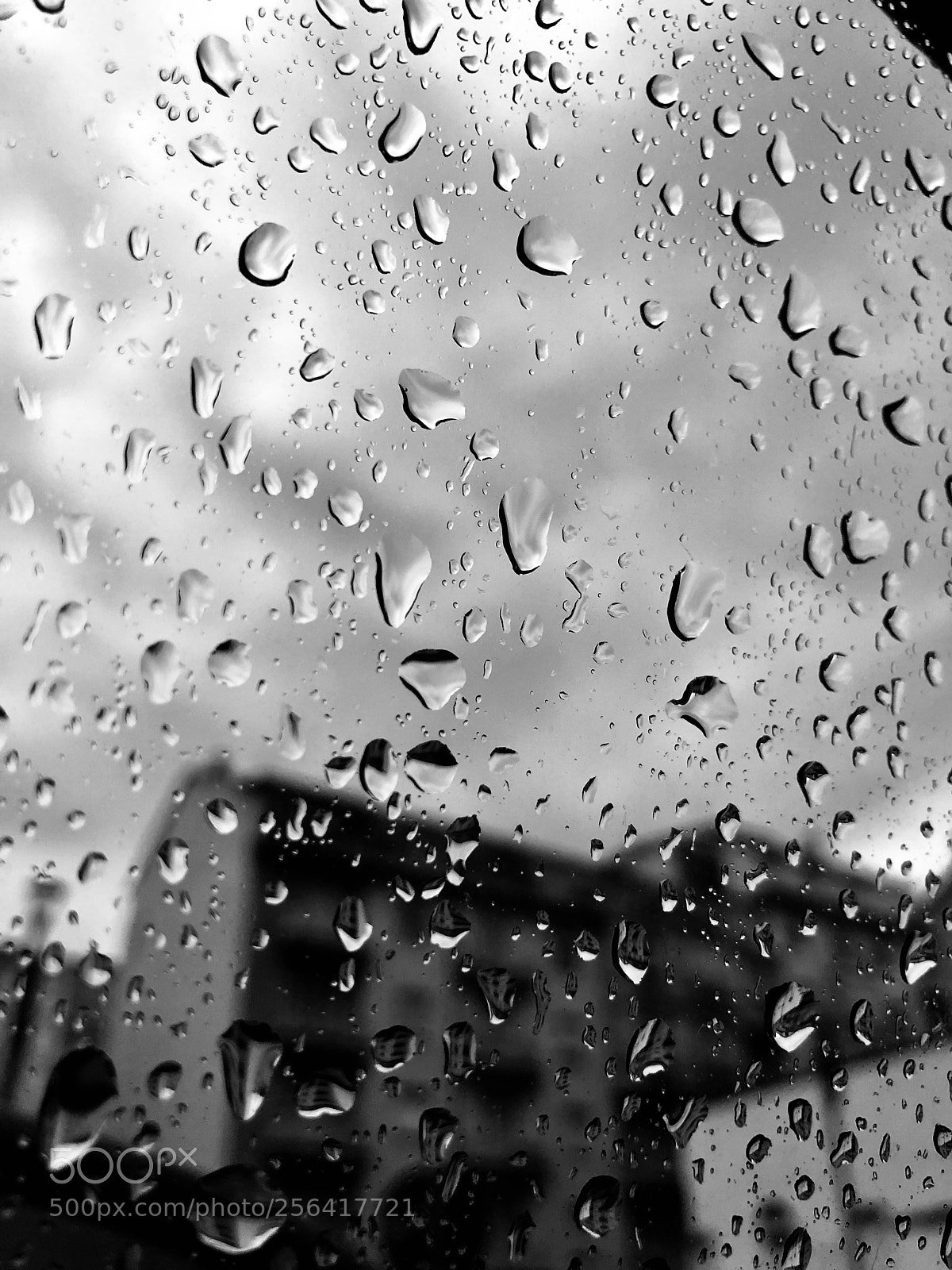 Apple iPhone X sample photo. Rain  photography