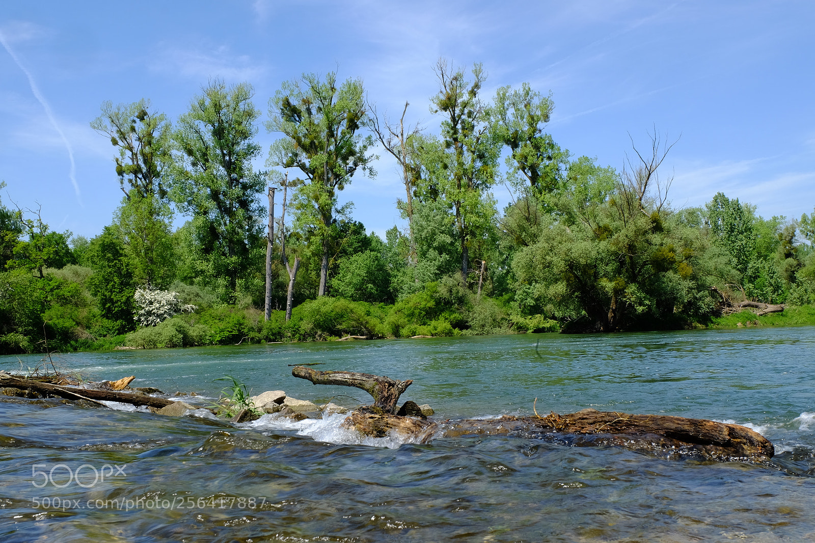 Fujifilm X-T10 sample photo. Rheinauen photography