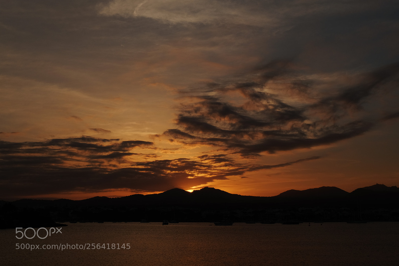 Fujifilm X-T10 sample photo. Dscf photography