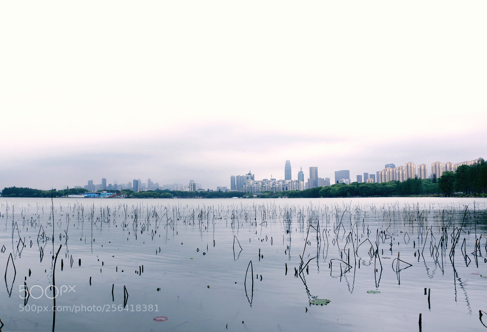 Canon EOS 70D sample photo. 武汉 photography