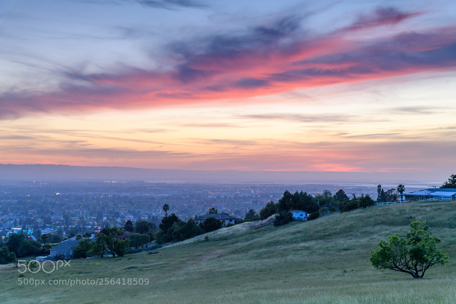 Nikon D850 sample photo. San jose, ca photography