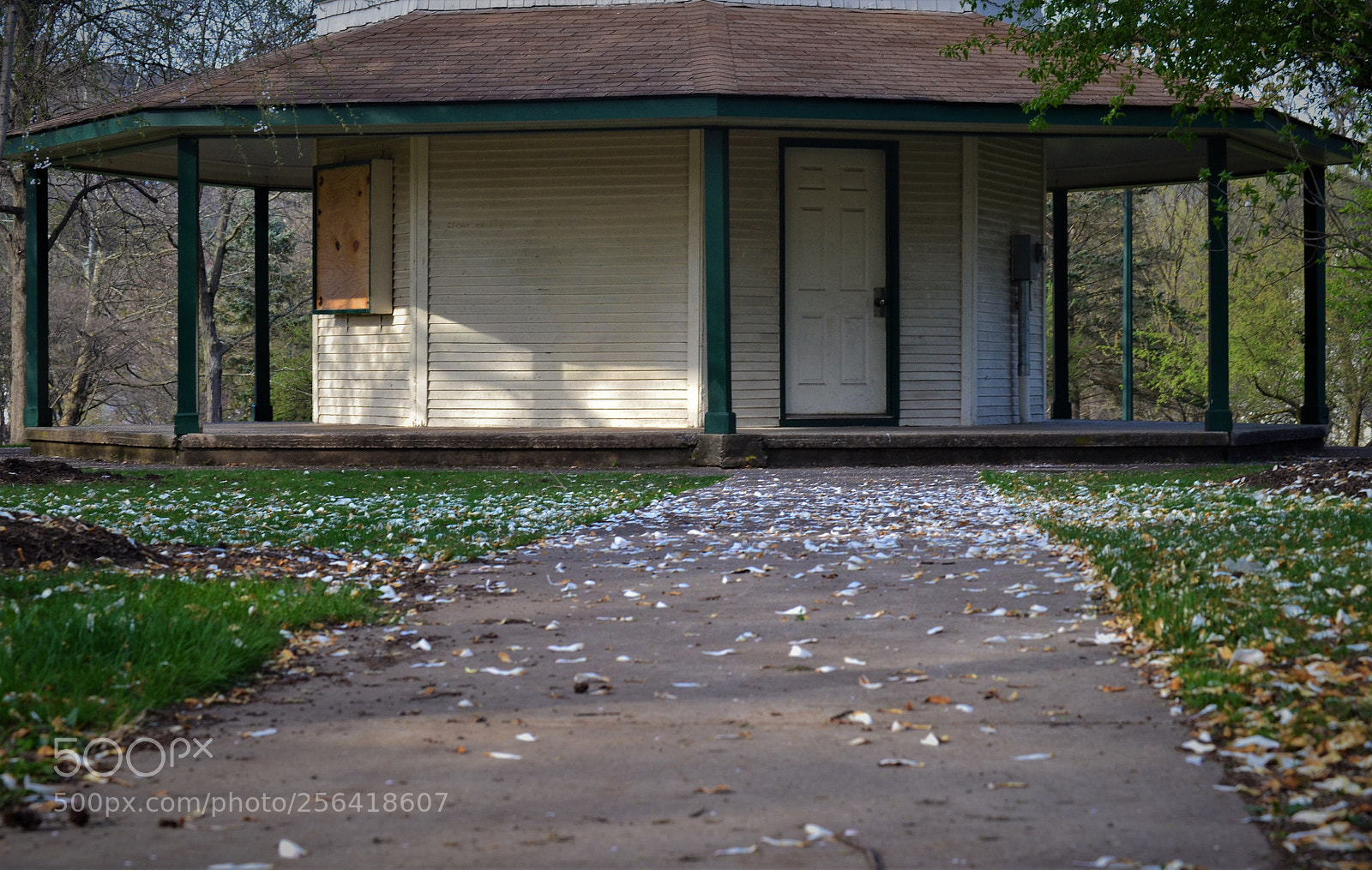 Nikon D3100 sample photo. Untitled photography