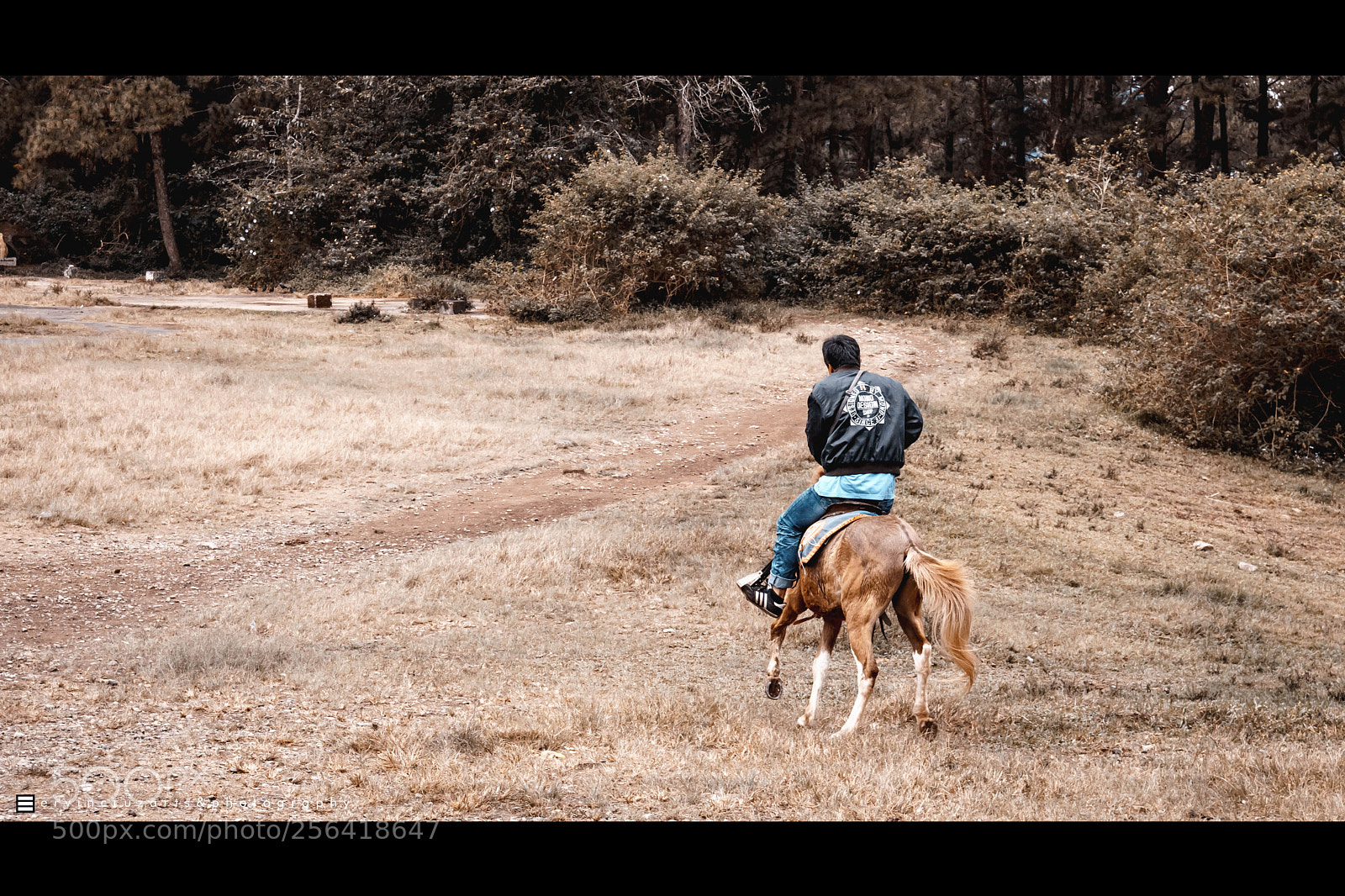 Sony a6000 sample photo. Untitled photography