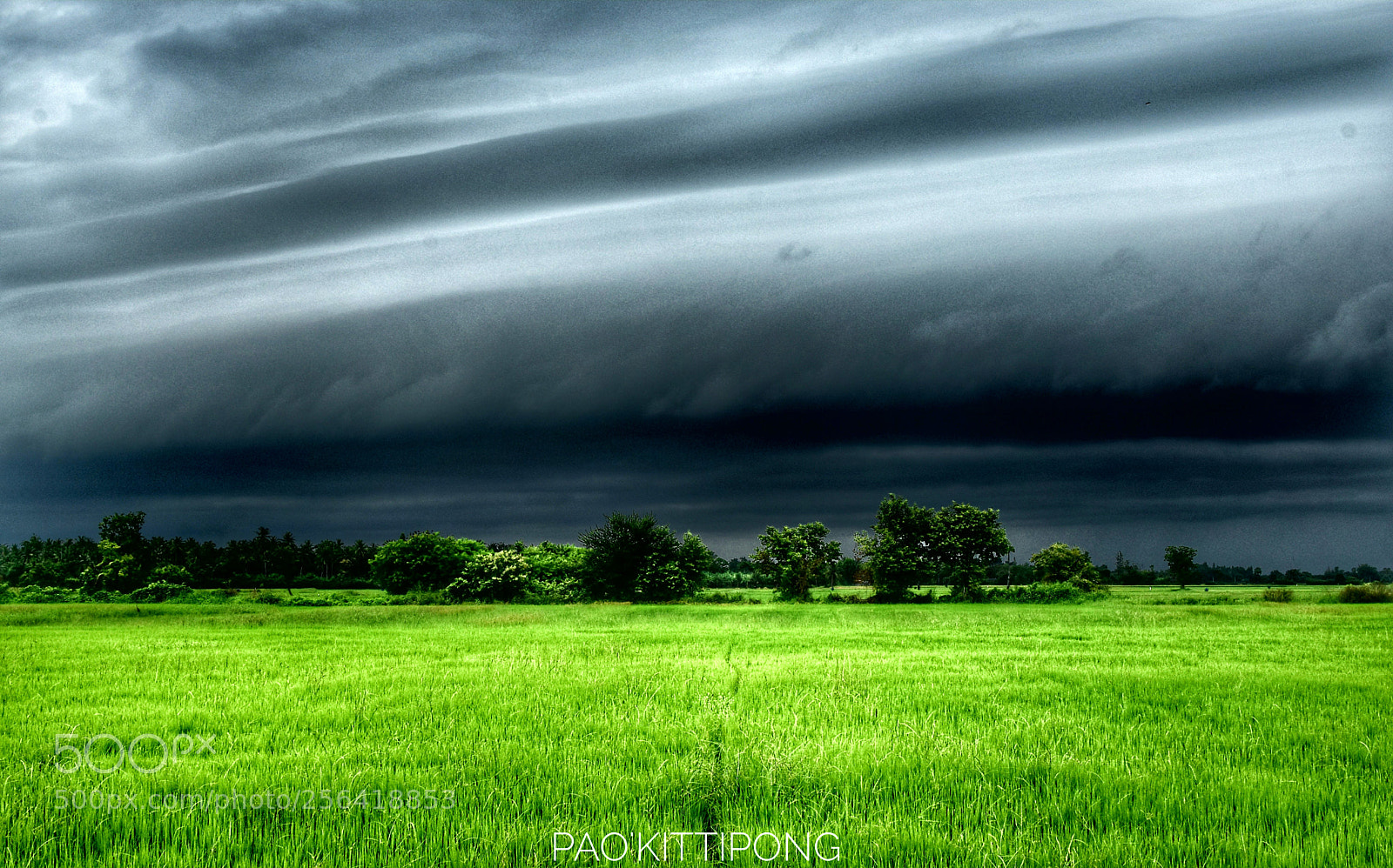 Nikon D5600 sample photo. Rain strom photography