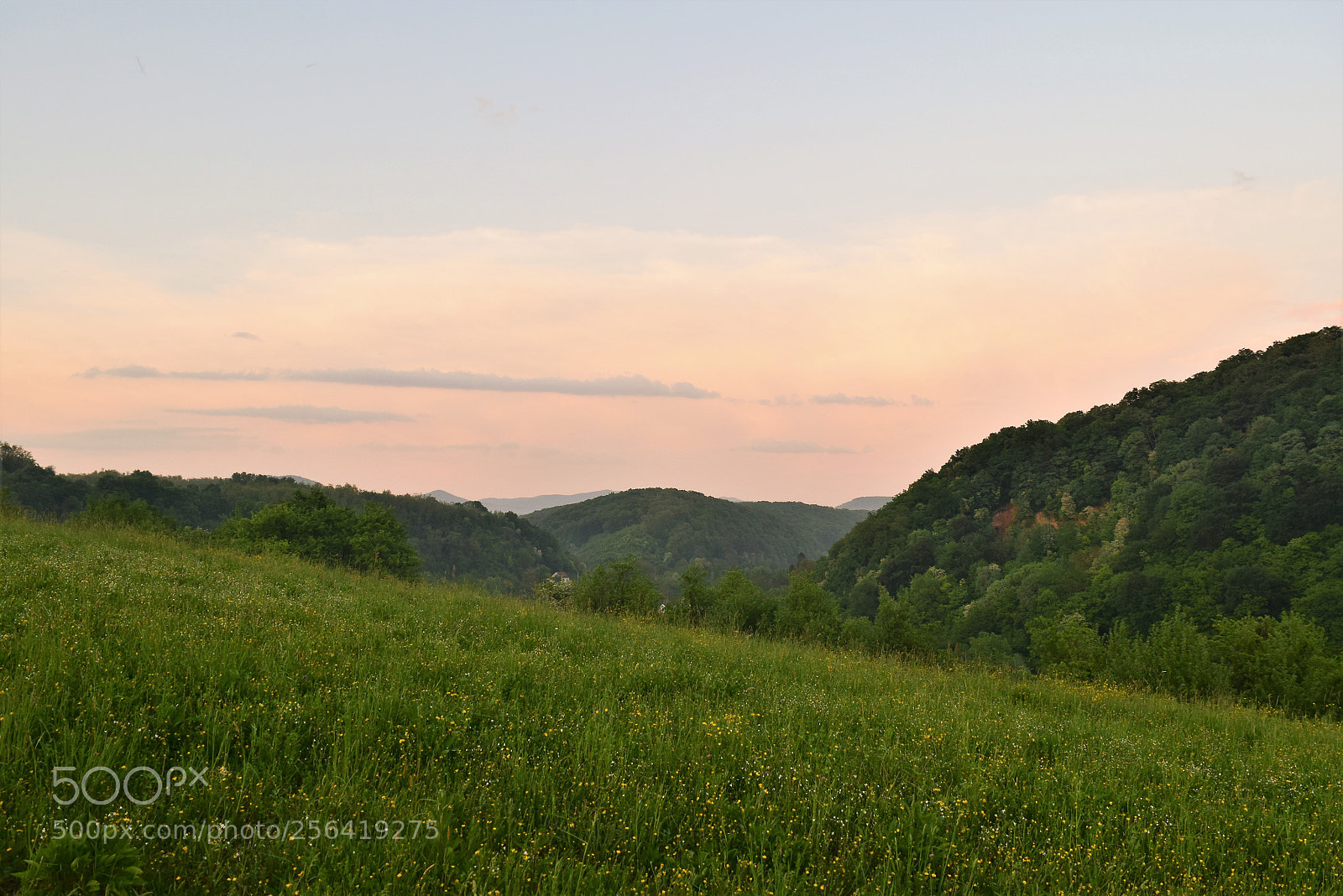 Nikon D3300 sample photo. Green hills photography