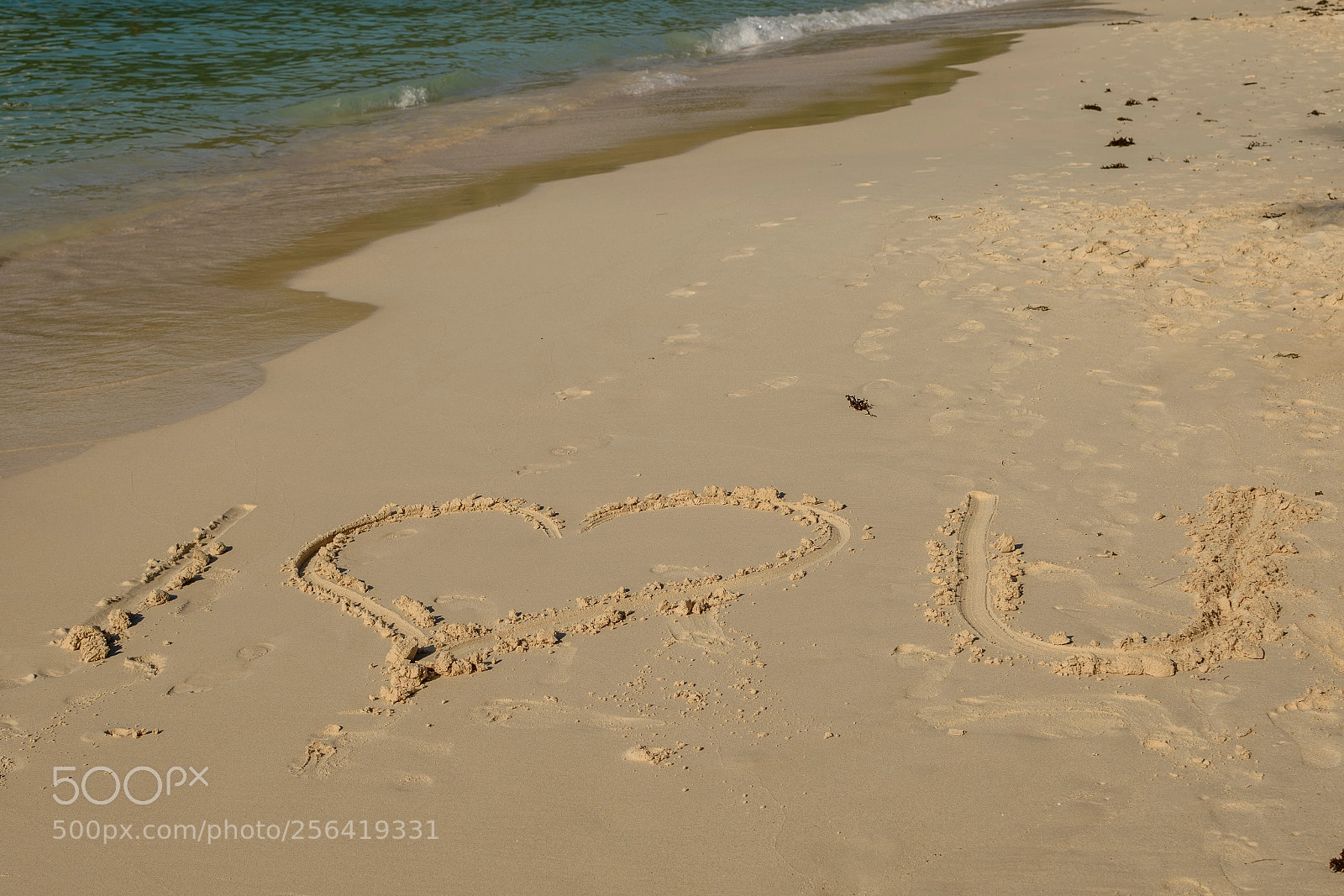Nikon D7500 sample photo. Three words on the photography