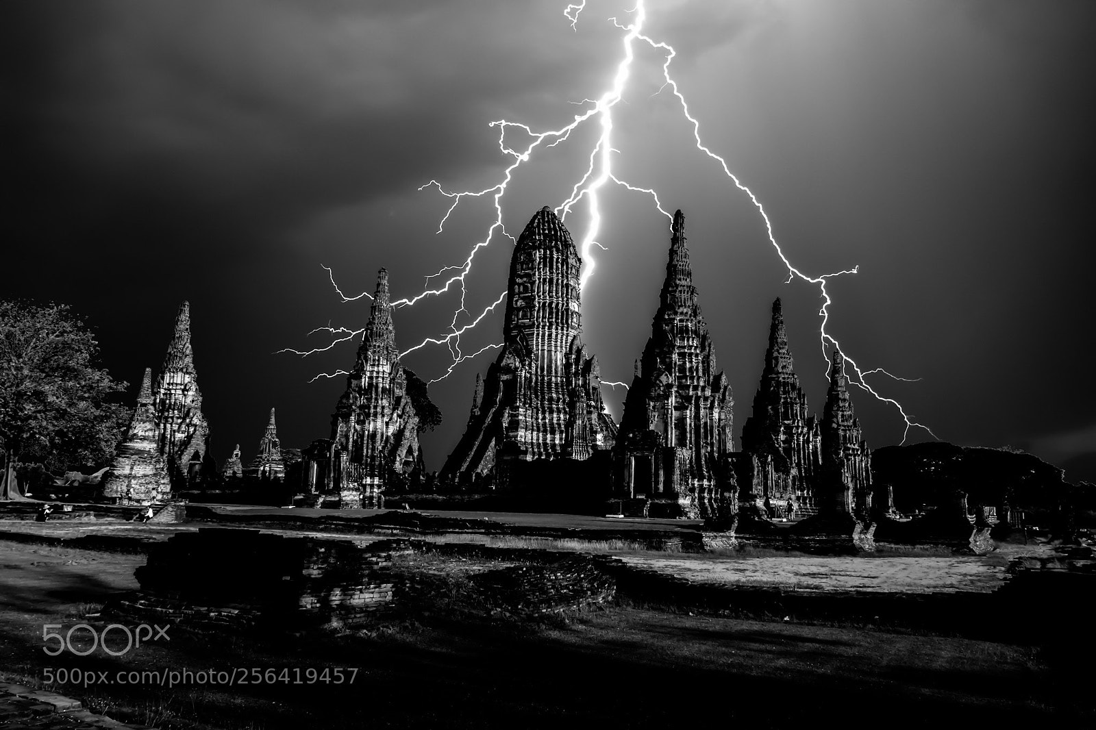 Nikon D5600 sample photo. Bolt castle photography
