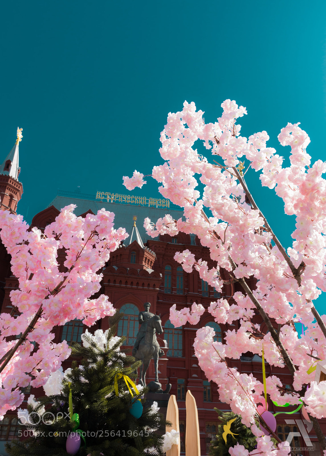 Nikon D7200 sample photo. Hi spring photography