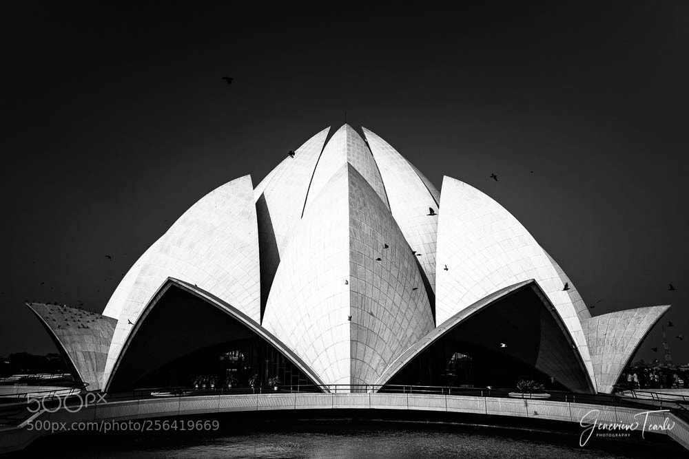 Canon EOS 5D Mark II sample photo. Lotus - india photography