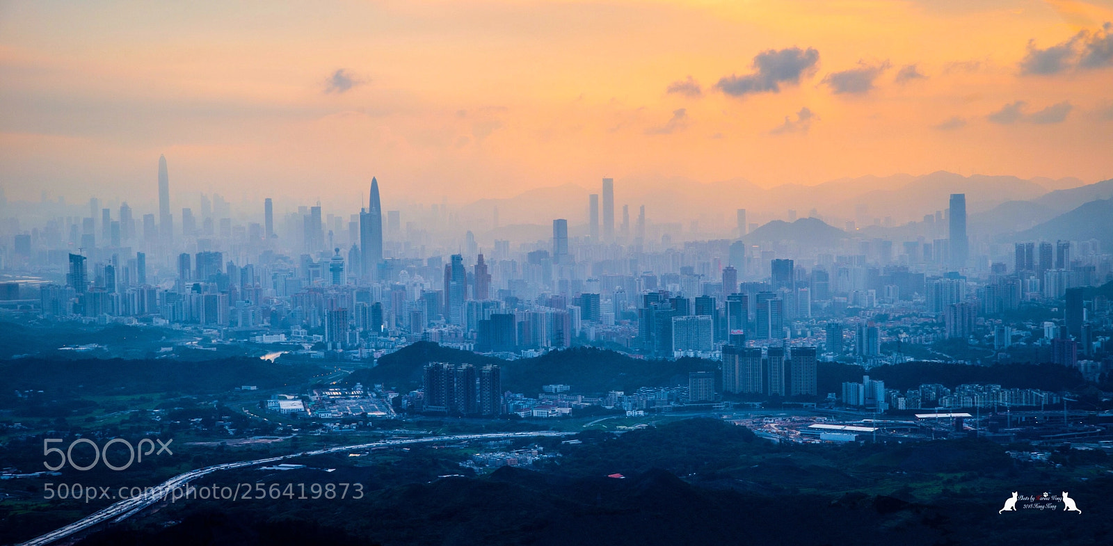 Nikon D800E sample photo. Foggy city photography