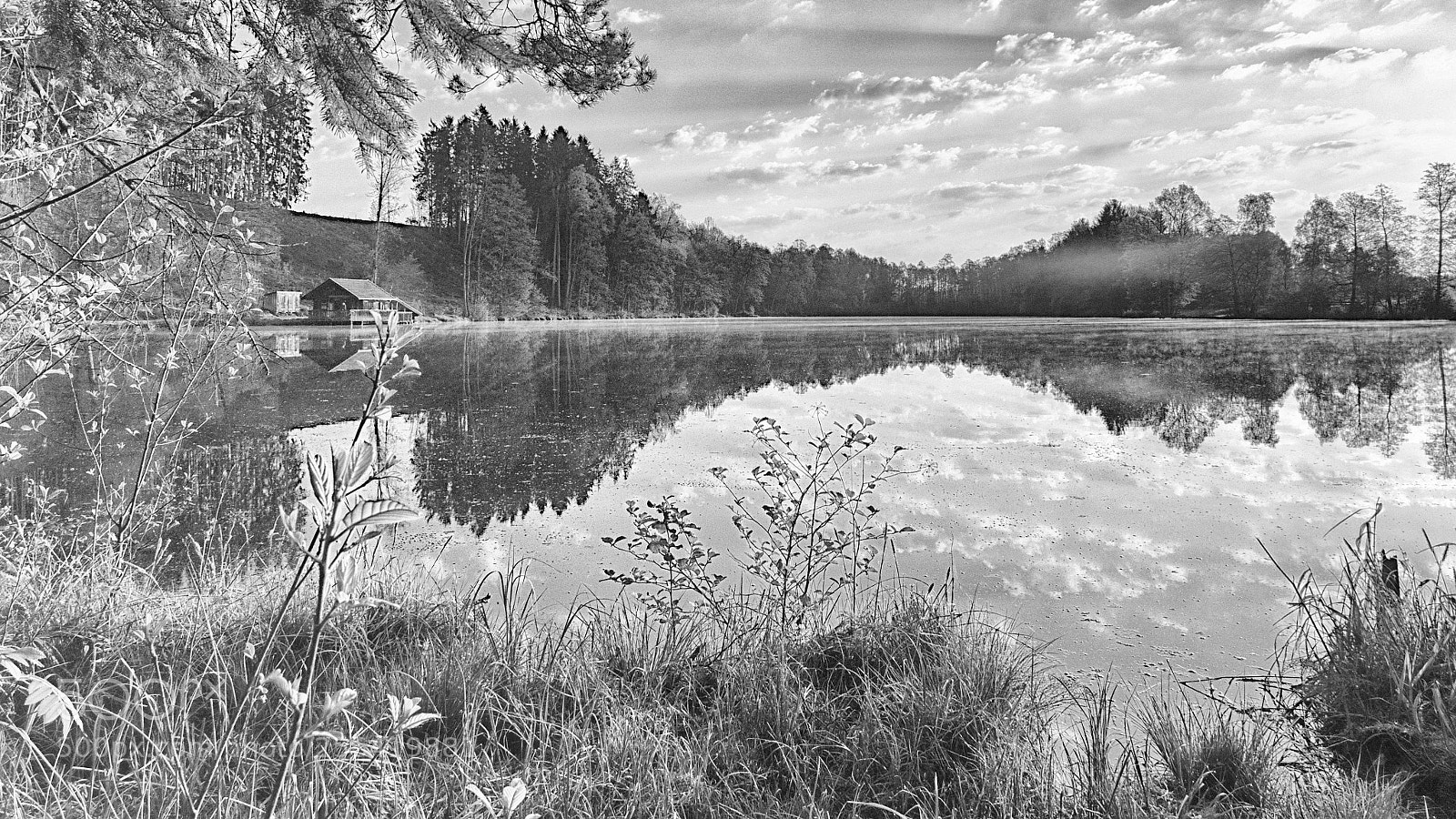 Panasonic DMC-G81 sample photo. Morning at the lake photography
