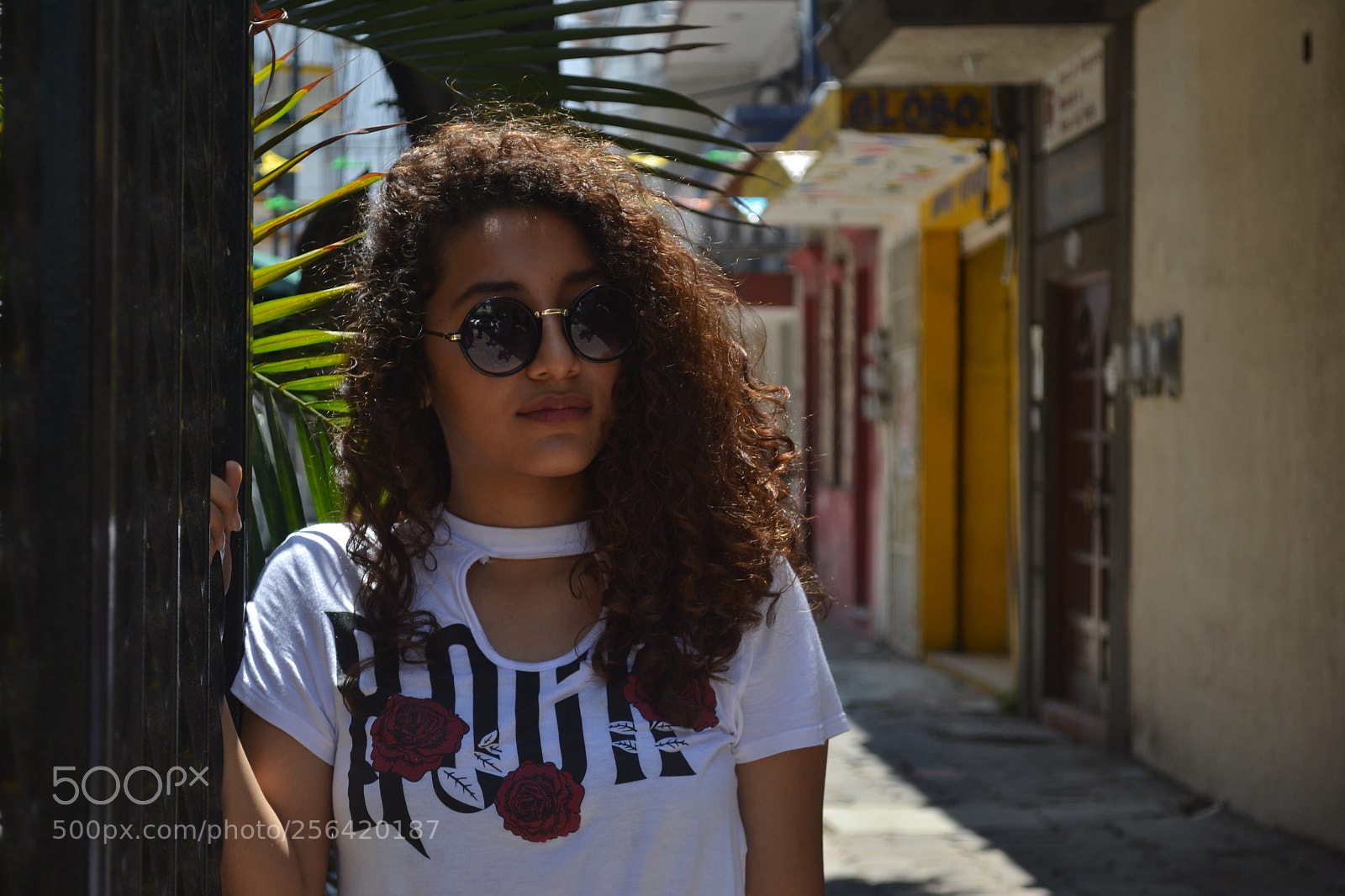 Nikon D3100 sample photo. Untitled photography