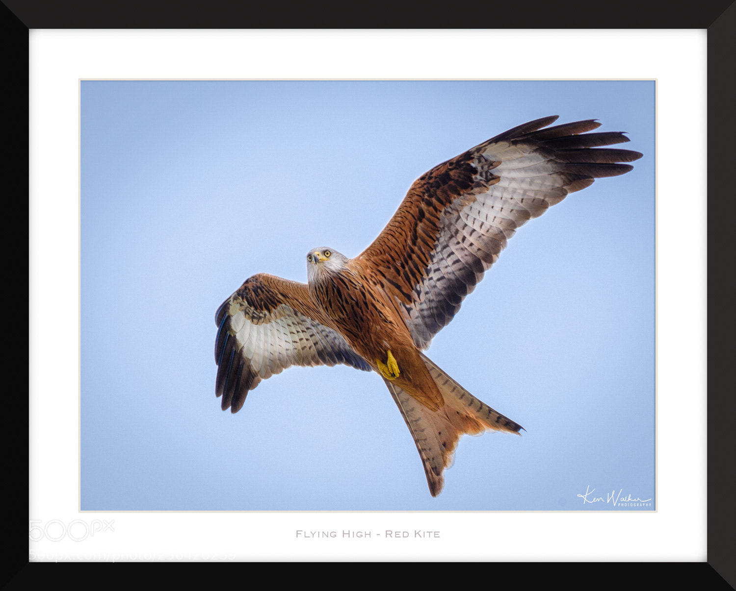 Fujifilm X-T2 sample photo. Flying high - red photography