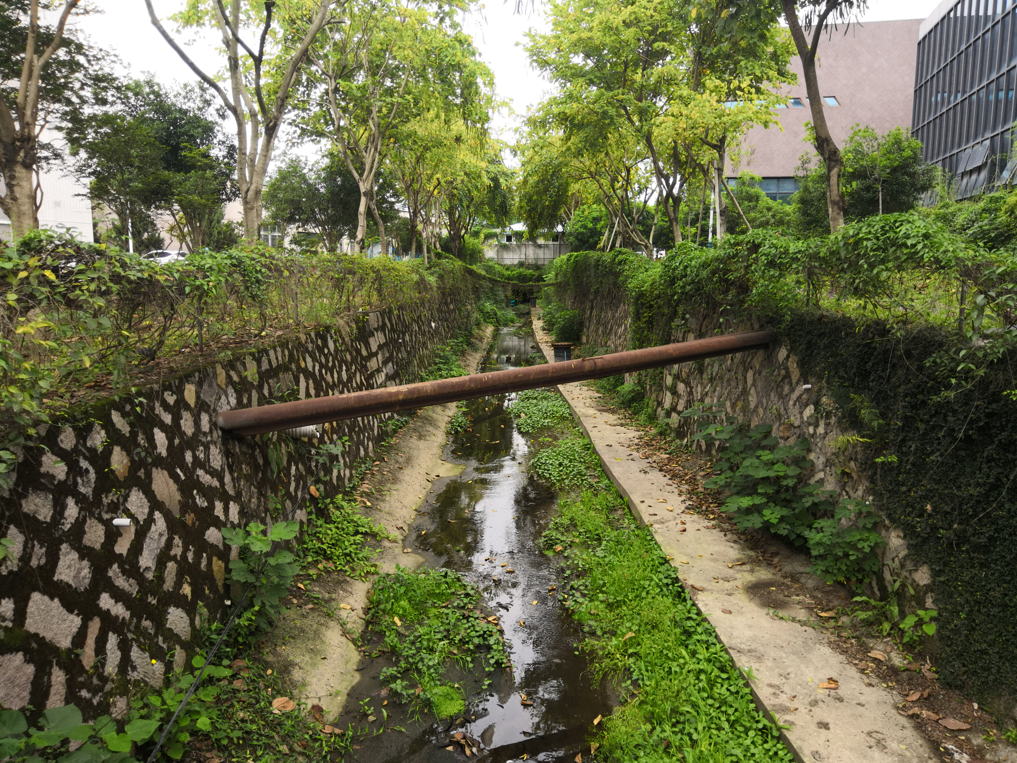 HUAWEI Honor V10 sample photo. A part of school photography