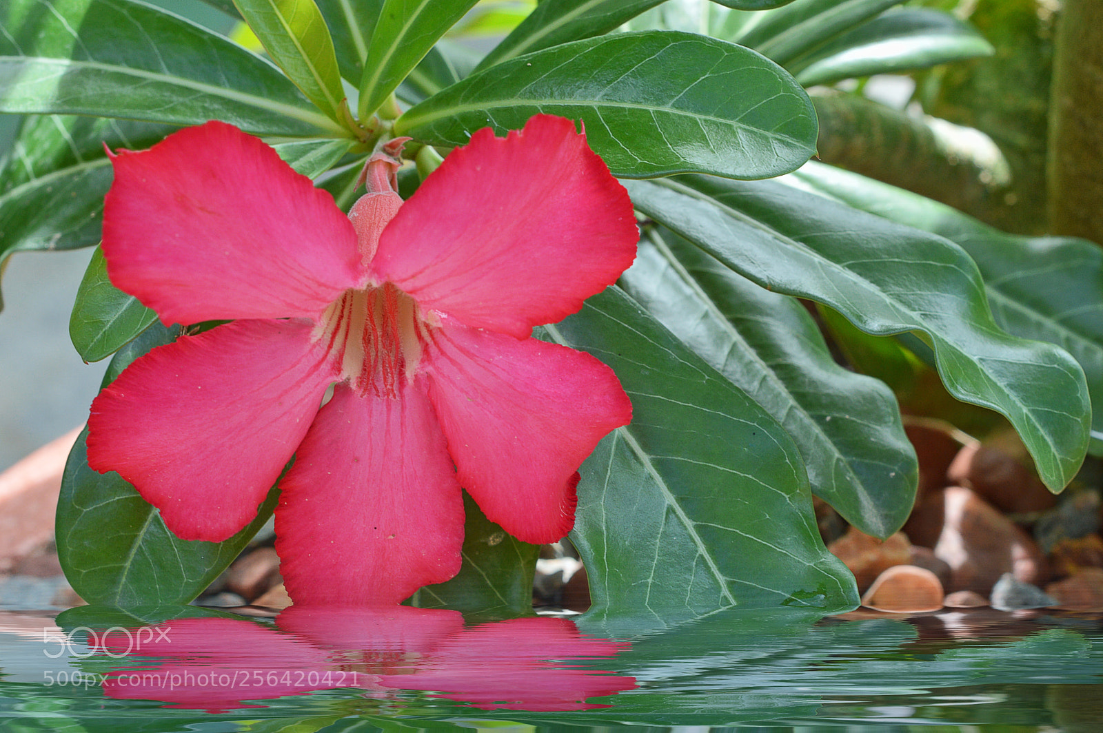 Nikon D3200 sample photo. Untitled photography