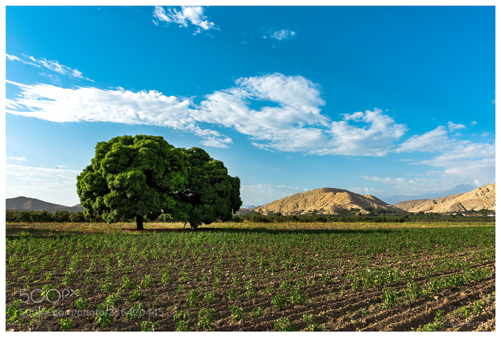 Nikon D750 sample photo. A magic place photography