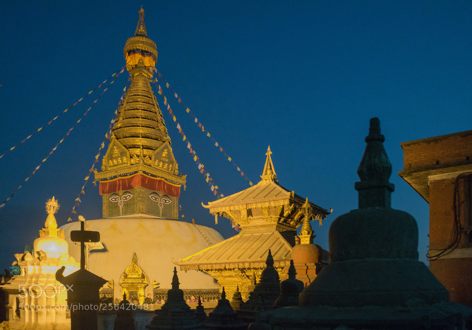Nikon D5300 sample photo. Syambhunath temple-nepal photography