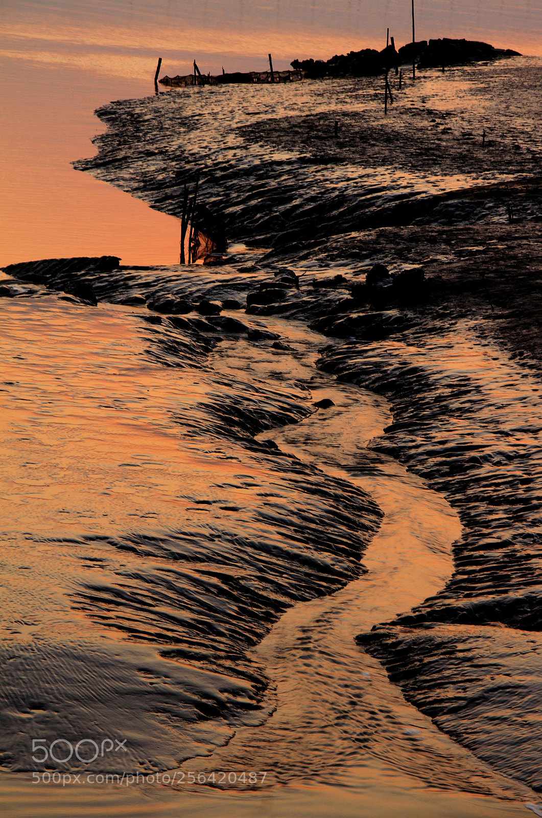 Canon EOS 7D sample photo. Lingering light of the photography