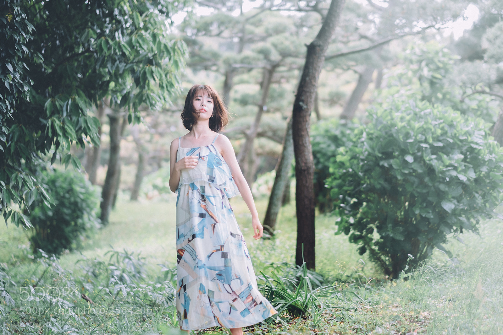 Fujifilm X-T2 sample photo. Untitled photography