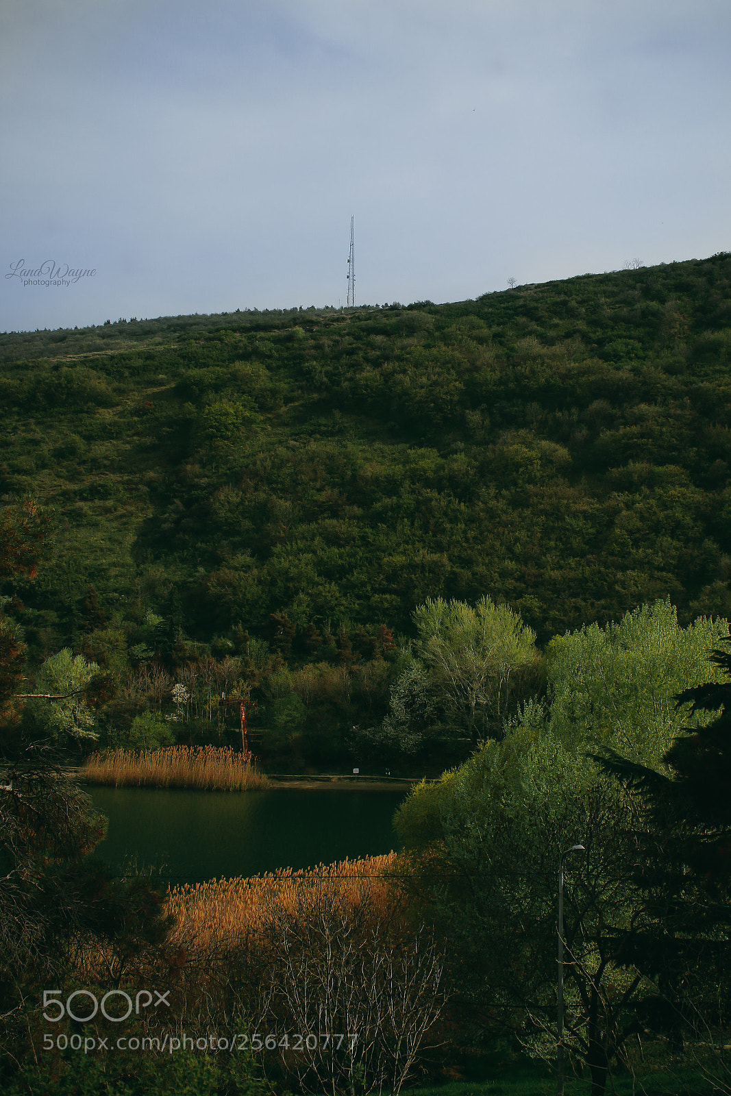 Canon EOS 7D Mark II sample photo. Green landscape photography